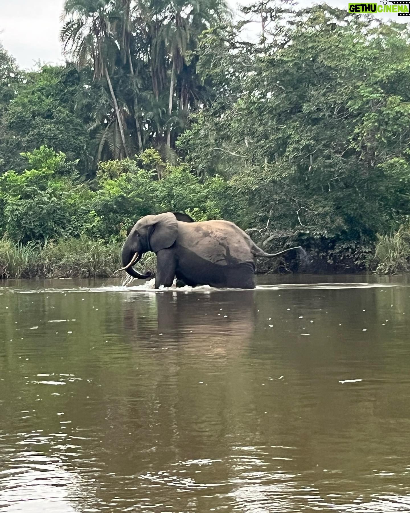 Judi Shekoni - 108 Likes - Just returned from the Congo!! Wow what a trip - happy birthday @terrilynnduhon 🙏🏽 What an incredible group of women. I don't use the phrase 'honoured to be there' lightly.