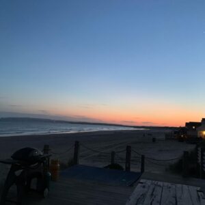 Judi Shekoni Instagram - Beach life and Bertie