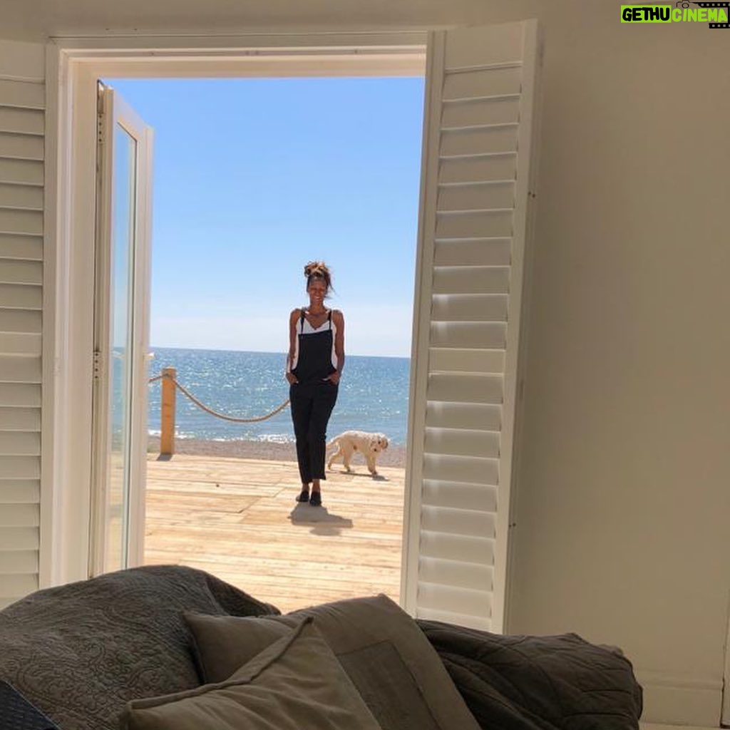 Judi Shekoni - 211 Likes - Beach life and Bertie