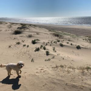 Judi Shekoni Instagram - Beach life and Bertie
