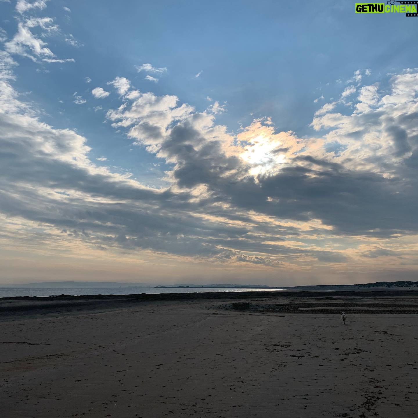 Judi Shekoni - 211 Likes - Beach life and Bertie