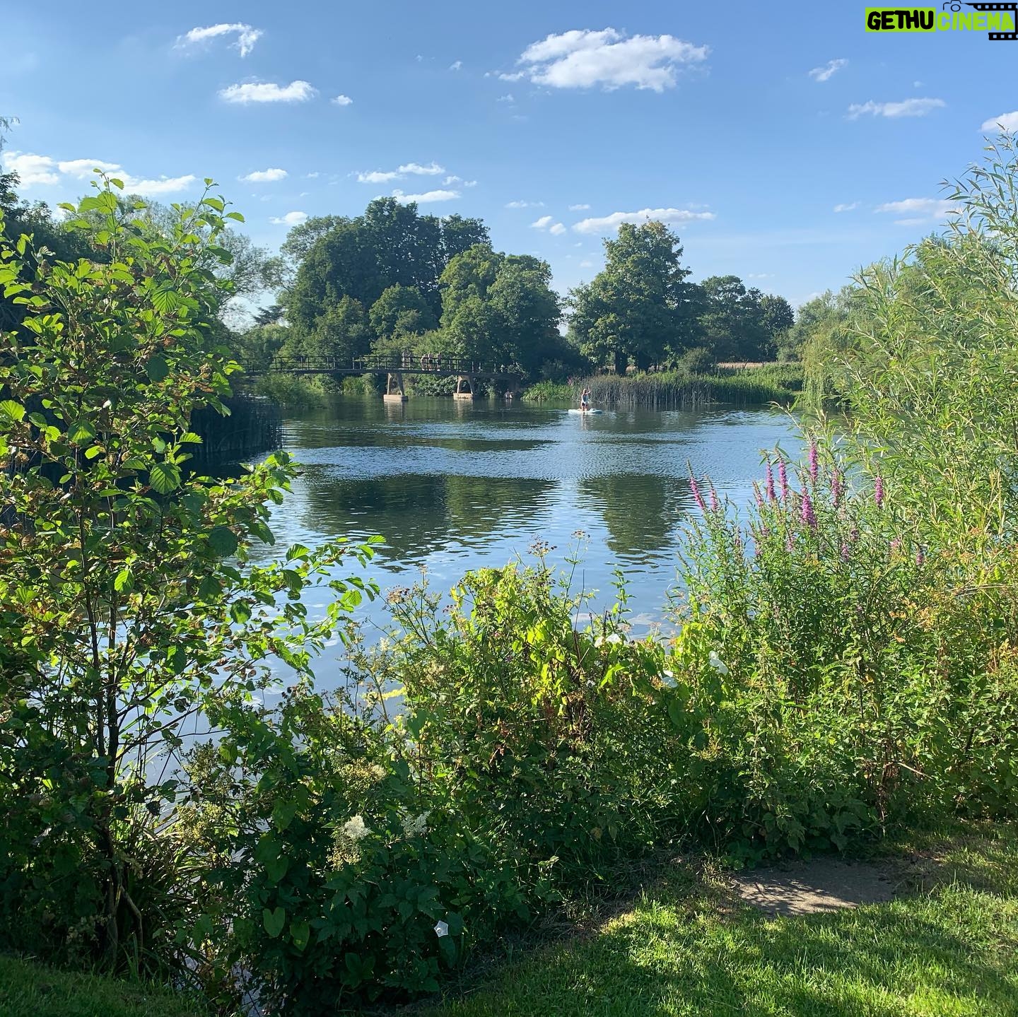 Judi Shekoni - 150 Likes - Who knew England had a south of France ? 🥰@the_great_house #holiday #england #englishsummer #river #hotel #hotels #travel #baby #dog #family #familytravel