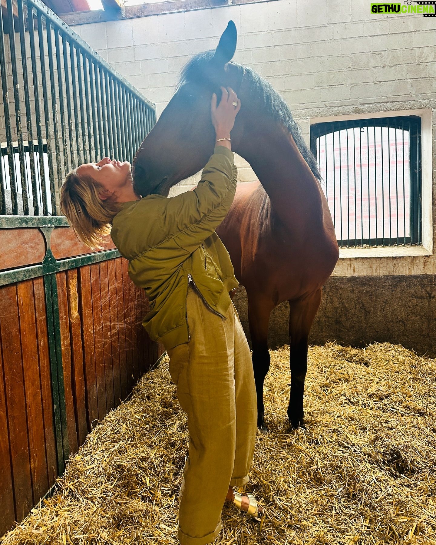 Judith Rakers - 16.4K Likes - Charlie vor drei Jahren. Und heute :-) 🥰 Aus dem kleinen Hengstfohlen ist ein junger Mann geworden. Groß und stark und trotzdem so sensibel und zart. Und er wächst noch 🙈… #meinekleineFarm #charliechocolate #hengstfohlen2021 #holsteinerhorse