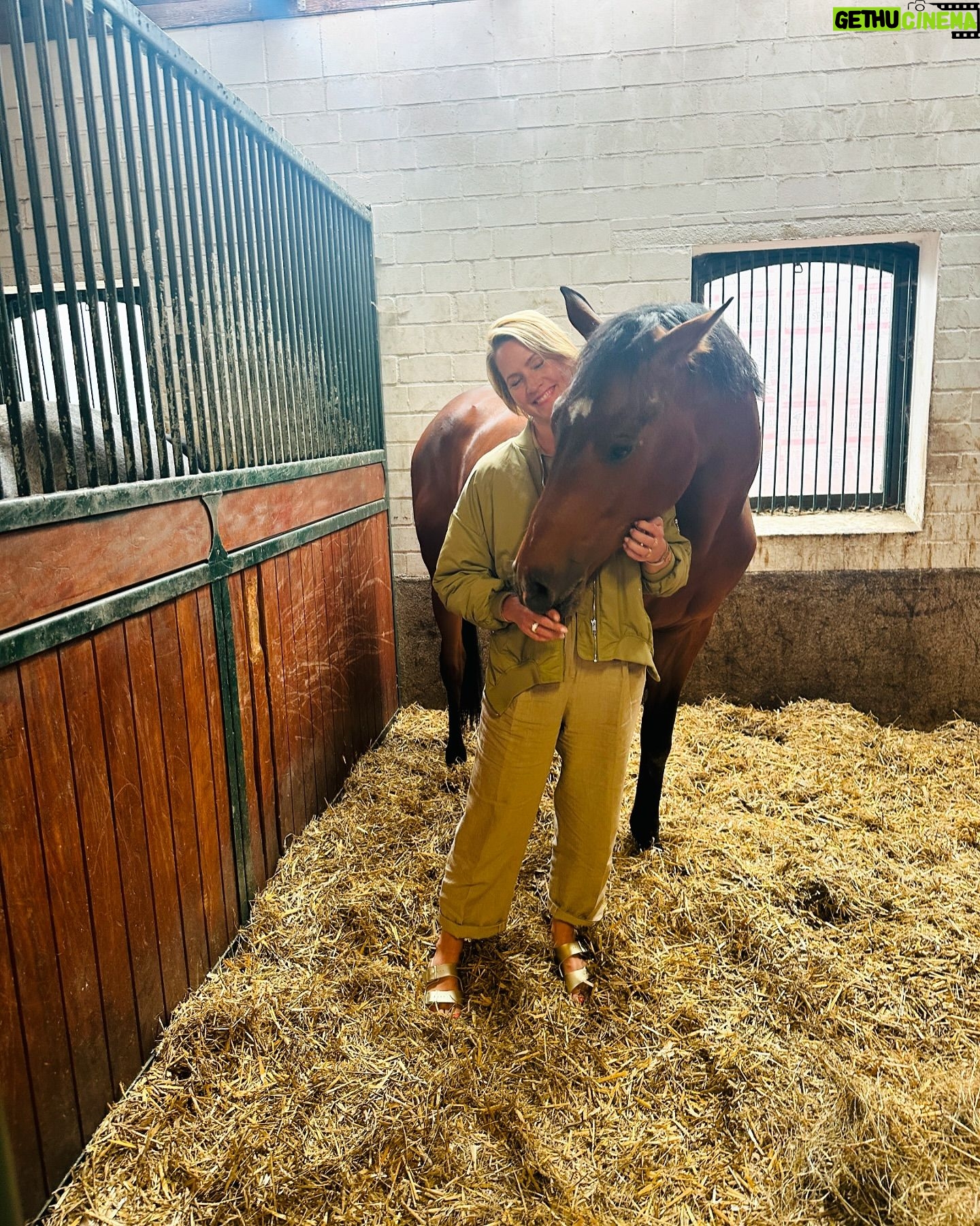 Judith Rakers - 16.4K Likes - Charlie vor drei Jahren. Und heute :-) 🥰 Aus dem kleinen Hengstfohlen ist ein junger Mann geworden. Groß und stark und trotzdem so sensibel und zart. Und er wächst noch 🙈… #meinekleineFarm #charliechocolate #hengstfohlen2021 #holsteinerhorse