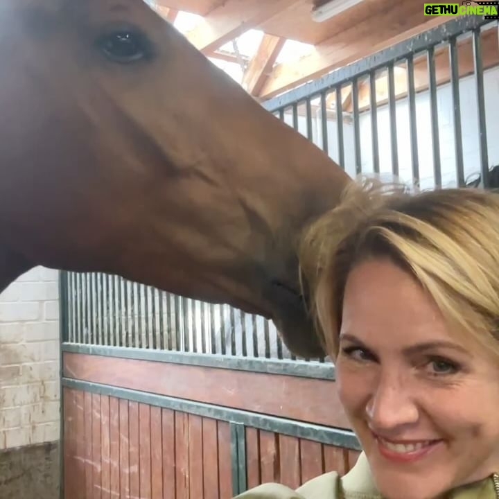 Judith Rakers - 16.4K Likes - Charlie vor drei Jahren. Und heute :-) 🥰 Aus dem kleinen Hengstfohlen ist ein junger Mann geworden. Groß und stark und trotzdem so sensibel und zart. Und er wächst noch 🙈… #meinekleineFarm #charliechocolate #hengstfohlen2021 #holsteinerhorse