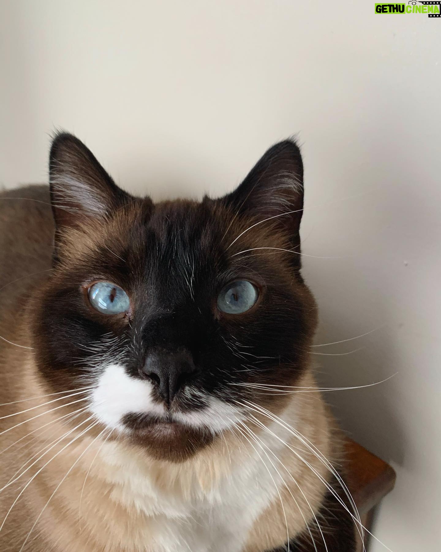 Jules Medcraft - 764 Likes - #blueeyes who wore it better? I vote #2