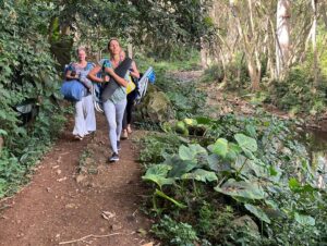 Julia Dujmovits Instagram - Kauai, Anahola 💚🪶🌱🍃🌴 The time of the breath of life. Thanks @heidikrings @julia_wiltschko @sasc_maui for this amazing soul adventure 🤍

#kauai #hawaii #anahola #nature #planetearth #beautifulplaces