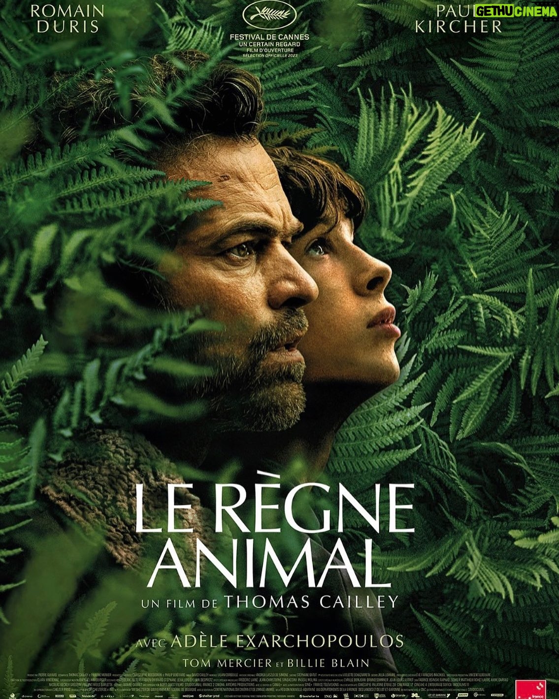Julia Molkhou - 142 Likes - WOW! Ok j’arrive peut-être après la bataille mais mieux vaut tard que jamais ( certains ont decouvert Rigoletto de Verdi en regardant une pub pour du jambon, donc ça va hein). Ce film est magnifique. Porté par des acteurs immenses. Une bande originale formidable. Le reste a déjà été dit et redit, donc je fais court, mais voyez le. Voyez « Le règne animal ».