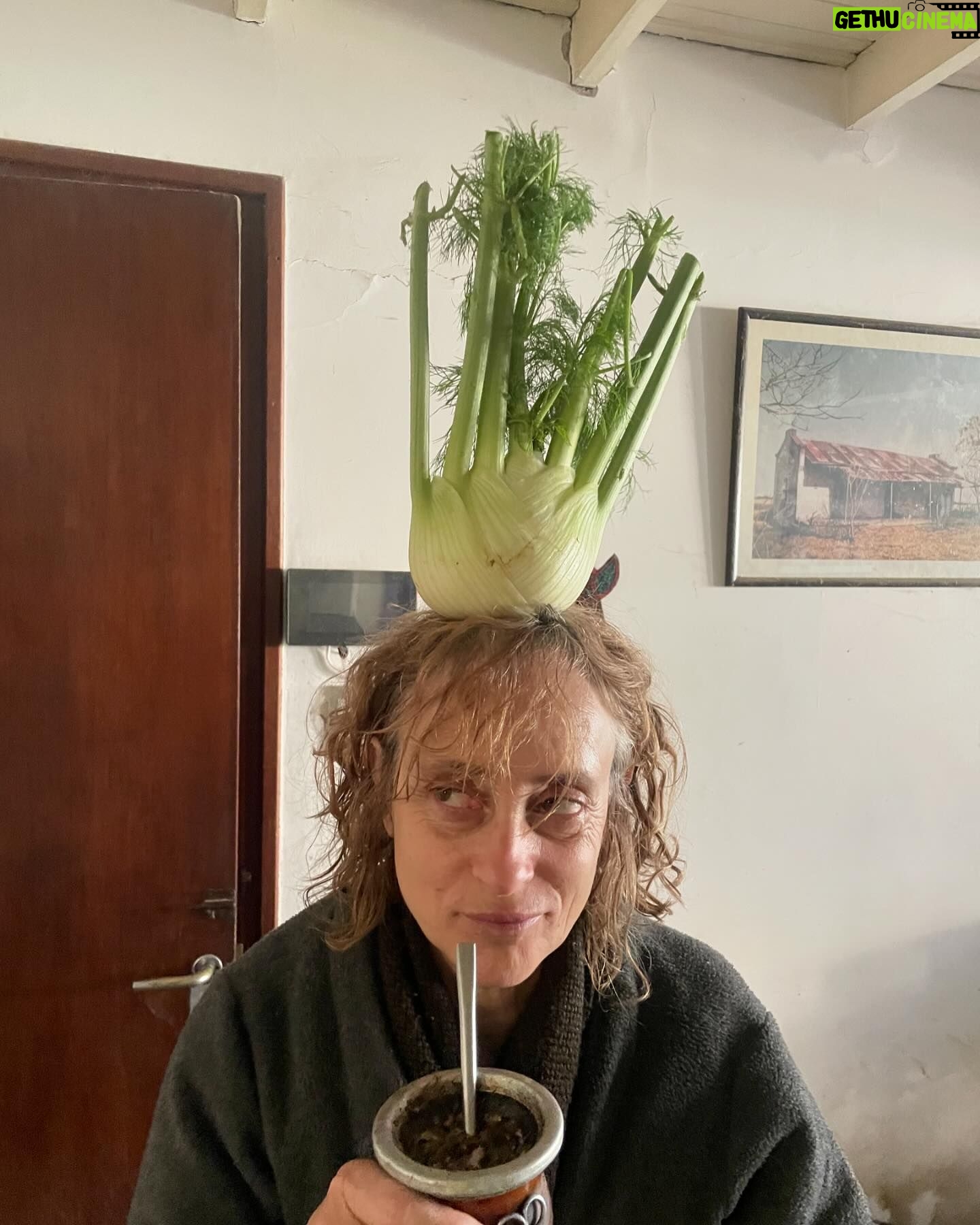 Julián Cerati - 65.1K Likes - Feliz vuelta al Sol a mi madre:
Necesitaría una galaxia de palabras para poder describir el amor y la admiración que le tengo. Por lo pronto, me limitaré a subir esta secuencia de imágenes que intenta ilustrar un poco de la esencia de este ser de luz.
Gracias por tu vida, la de Valy y la mía❤️