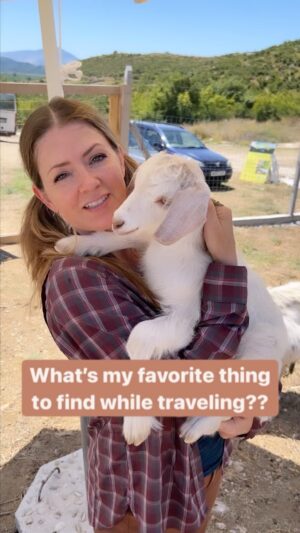 Juliana Dever Instagram - I’ve goat a problem 🐐
.
#ilovegoats #willtravelforgoats #goats #cleverdeverwherever #julianadever