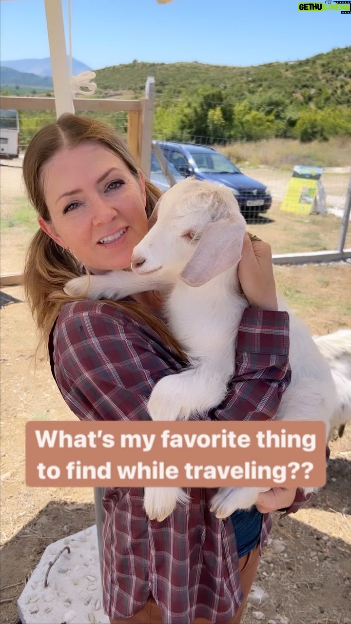 Juliana Dever - 1K Likes - Iāve goat a problem š
.
#ilovegoats #willtravelforgoats #goats #cleverdeverwherever #julianadever