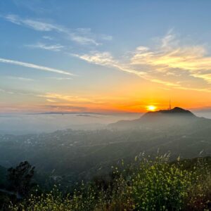 Juliana Dever Instagram - Two hikes in less than a week…who are we?

Big thanks to Geoffrey for sharing his favorite trail to the top of the crest with us 🥰 

It’s nice to remember how beautiful your own city can be.
