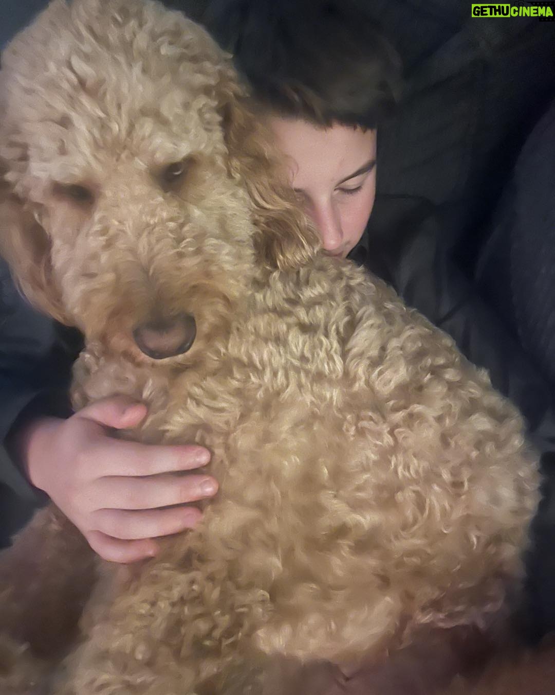 Julie Houle - 390 Likes - Toujours un peu entrain de dormir collé (ou carrément embarqué) sur quelqu’un.
🫶🏼🐕😍🤎