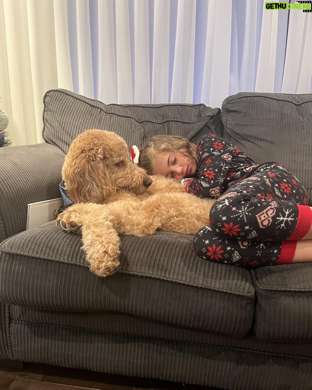 Julie Houle - 390 Likes - Toujours un peu entrain de dormir collé (ou carrément embarqué) sur quelqu’un.
🫶🏼🐕😍🤎