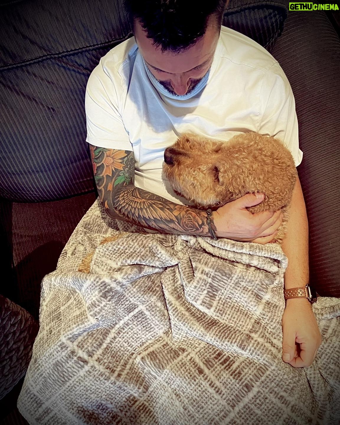 Julie Houle - 390 Likes - Toujours un peu entrain de dormir collé (ou carrément embarqué) sur quelqu’un.
🫶🏼🐕😍🤎