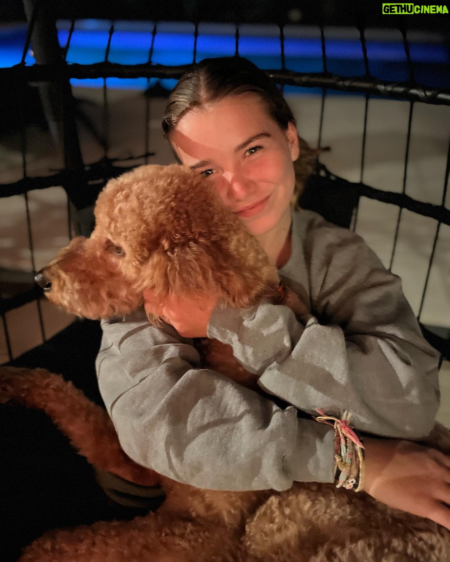 Julie Houle - 293 Likes - Pendant 2 secondes je pensais aussi que c’était moi. 🤣✌🏼
#001 💞 Angus 🐕🤎 #friday #chienchien #goldendoodle #mypuppie