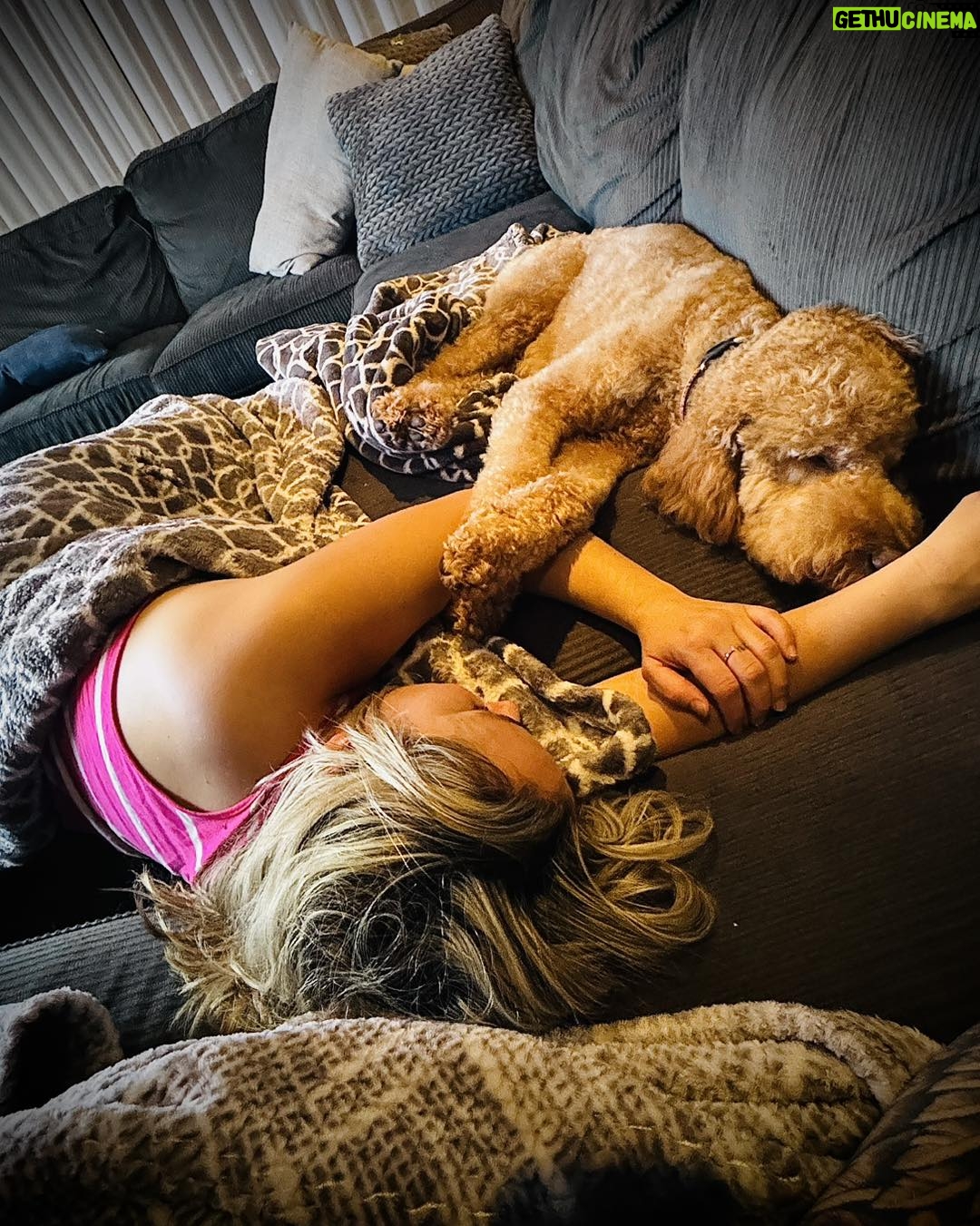 Julie Houle - 390 Likes - Toujours un peu entrain de dormir collé (ou carrément embarqué) sur quelqu’un.
🫶🏼🐕😍🤎