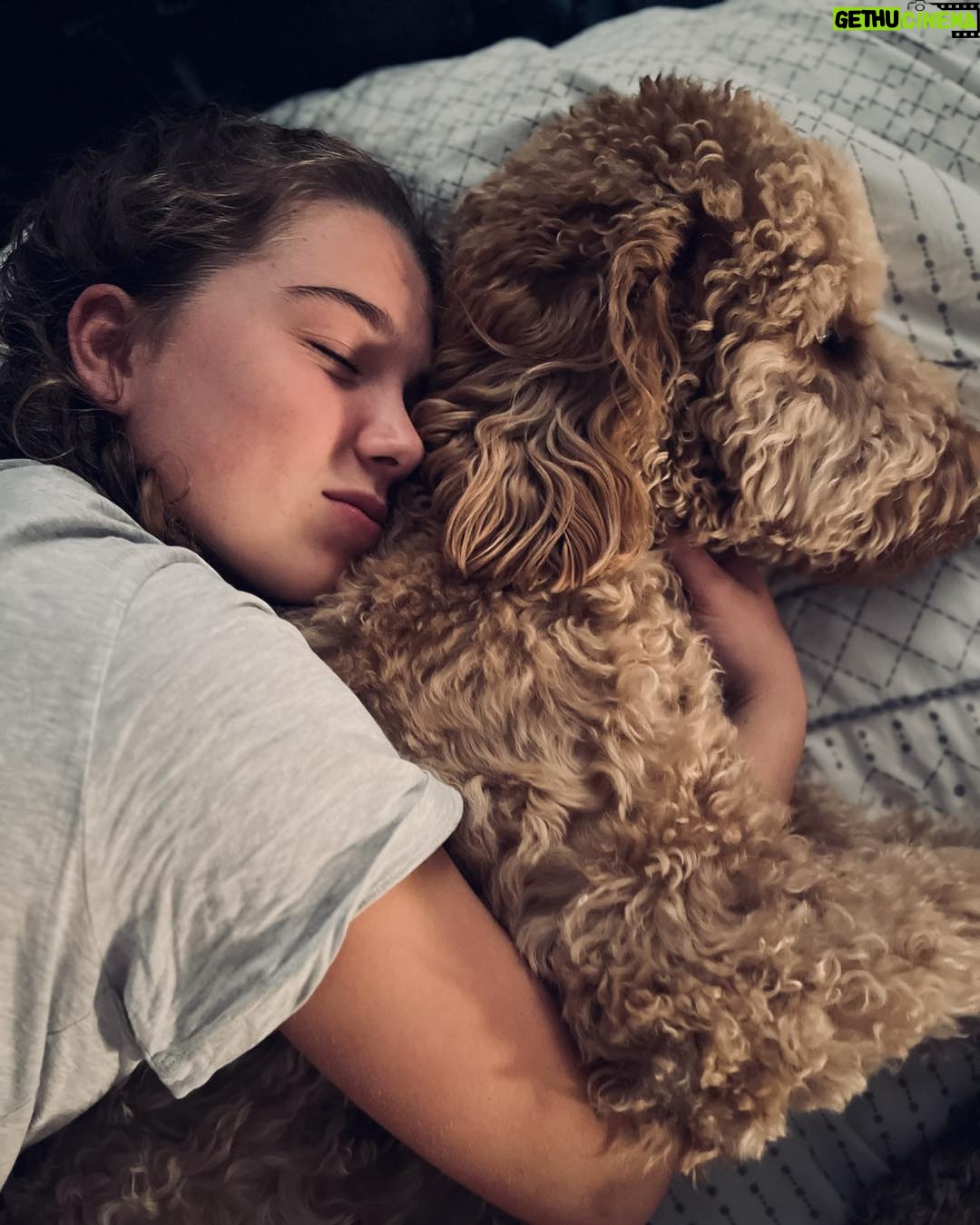 Julie Houle - 390 Likes - Toujours un peu entrain de dormir collé (ou carrément embarqué) sur quelqu’un.
🫶🏼🐕😍🤎