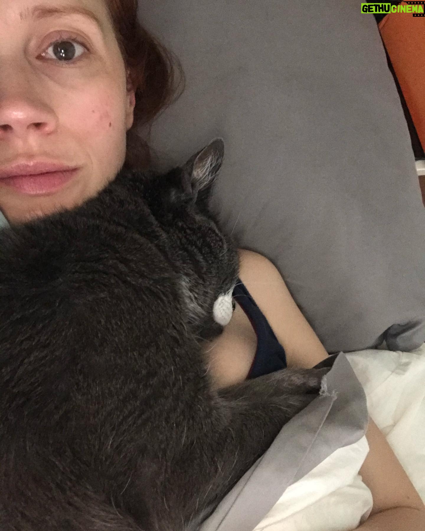 Julie McNiven - 1.9K Likes - Said goodbye to my first baby this morning. He was incredibly smart (sometimes too smart), his eyes were deep and his love was intense. Grateful for 15 years of cuddles and companionship. Love you Clovis. ❤️💔