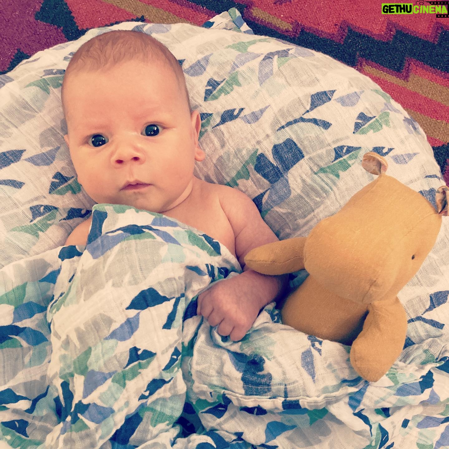 Julie McNiven - 1.4K Likes - Almost through his first developmental leap! He’s able to focus on things longer and starting to coo. ❤️
