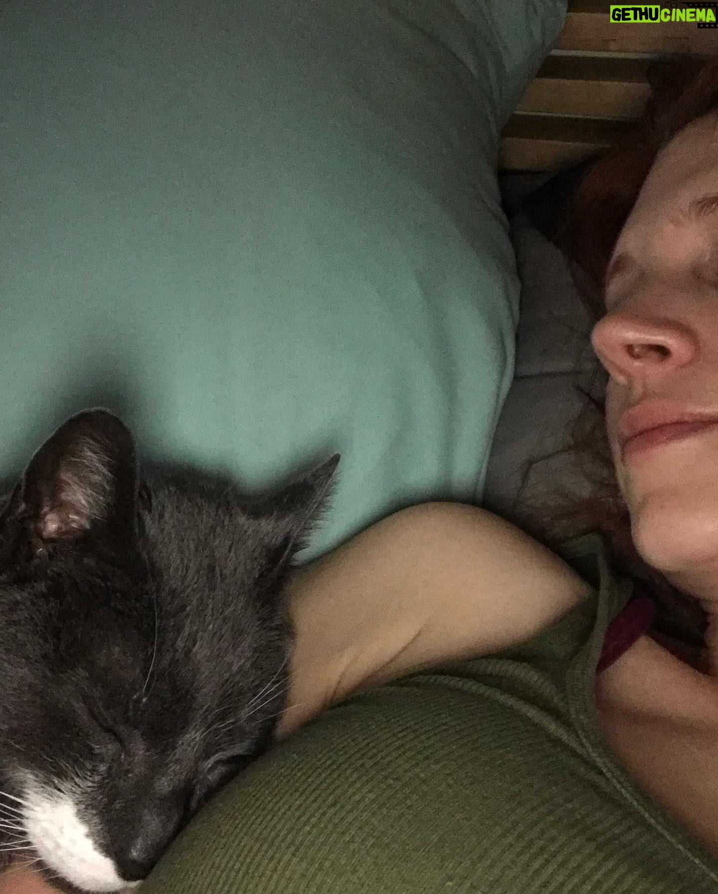 Julie McNiven - 1.9K Likes - Said goodbye to my first baby this morning. He was incredibly smart (sometimes too smart), his eyes were deep and his love was intense. Grateful for 15 years of cuddles and companionship. Love you Clovis. ❤️💔