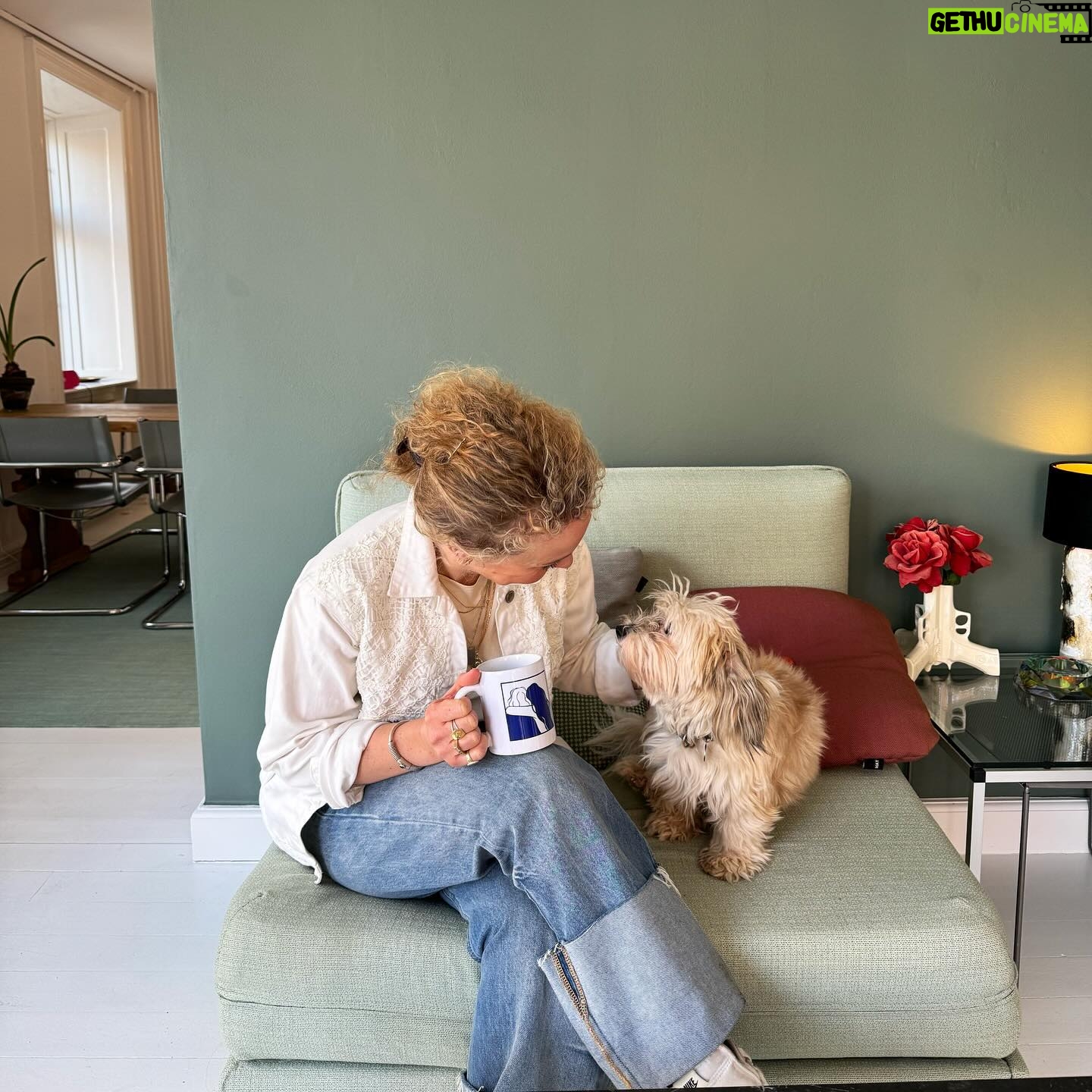 Julie R. Ølgaard - 262 Likes - Find en kæreste der kigger på dig, som Dolly kigger på mig…men måske én der gør lidt mindre og som du ikke skal samle l… op efter 🐶