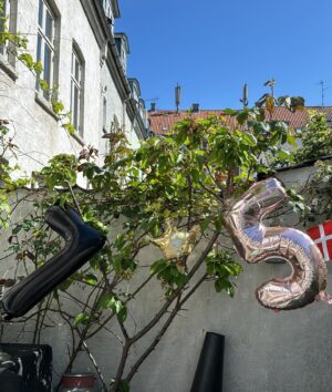 Julie R. Ølgaard Instagram - Verdens bedste Cooper 7 år i dag🇩🇰 Kæmpe hurra og tak fordi du blev lige netop min dreng 🫶🏻 
Weekenden har stået på dobbelt fejring med familie, venner og masser af børn - og alt hvad der dertil hører❤️ (samt overdådigt flotte kager og boller fra @bodenhoff_officiel - til dem der kunne tro jeg selv havde lavet dem = ingen 😂) #reklame // tags
Vi har to lykkelige børn og er to rimelig trætte forældre - men fulde af 🫶🏻
@chokolade_muus