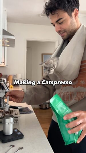 Julien Marlon Samani Instagram - Barista in training, who wants one?
-
-
-
#cat #cats #cats_of_world #cats_of_instagram #espresso #coffee #ecm #puristika #purity #puritycoffee #coffee