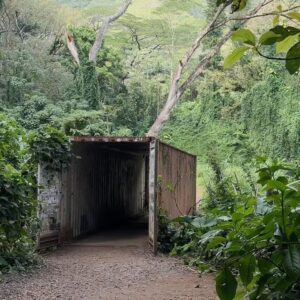 Julien Marlon Samani Instagram - Quick escape to O’ahu