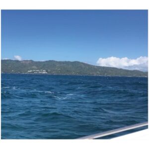 Juliet Rylance Instagram - La Felicidad. 

#sailingwithwhales