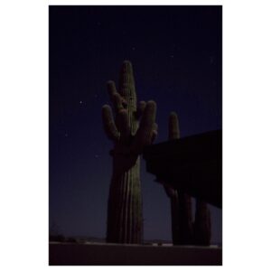 Juliet Rylance Instagram - Two Chiefs under a Harvest Moon. 
#saguaro #saturday #harvestmoon