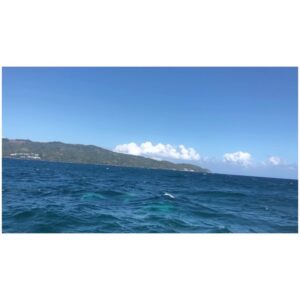 Juliet Rylance Instagram - La Felicidad. 

#sailingwithwhales