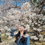 Jung Da-you