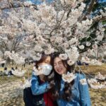 Jung Da-you