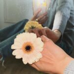 Jung Hae-na