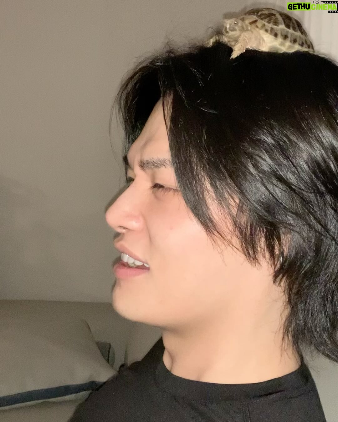 Jung Hyuk - 19.1K Likes - 지극히 평범한 일상 zip