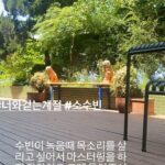Jung Jae-hyung