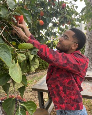 Justice Smith Instagram - p.  er simmonnns. they r ripe 🍅🍅🍅🍅🍅🍅🍅🍅🍅🍅🍅🍅🍅🍅🍅🍅🍅🍅🍅🍅🍅🍅🍅🍅🍅🍅🍅🍅🍅🍅🍅🍅🍅🍅🍅🍅🍅