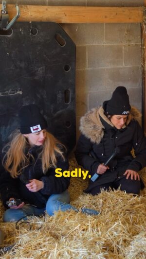 Justina Adorno Instagram - This is Mario’s story 🐷 

One of the lucky ones.

Comment CATSKILLS and I’ll message you the full video of our visit to @catskill_animal_sanctuary ❤️