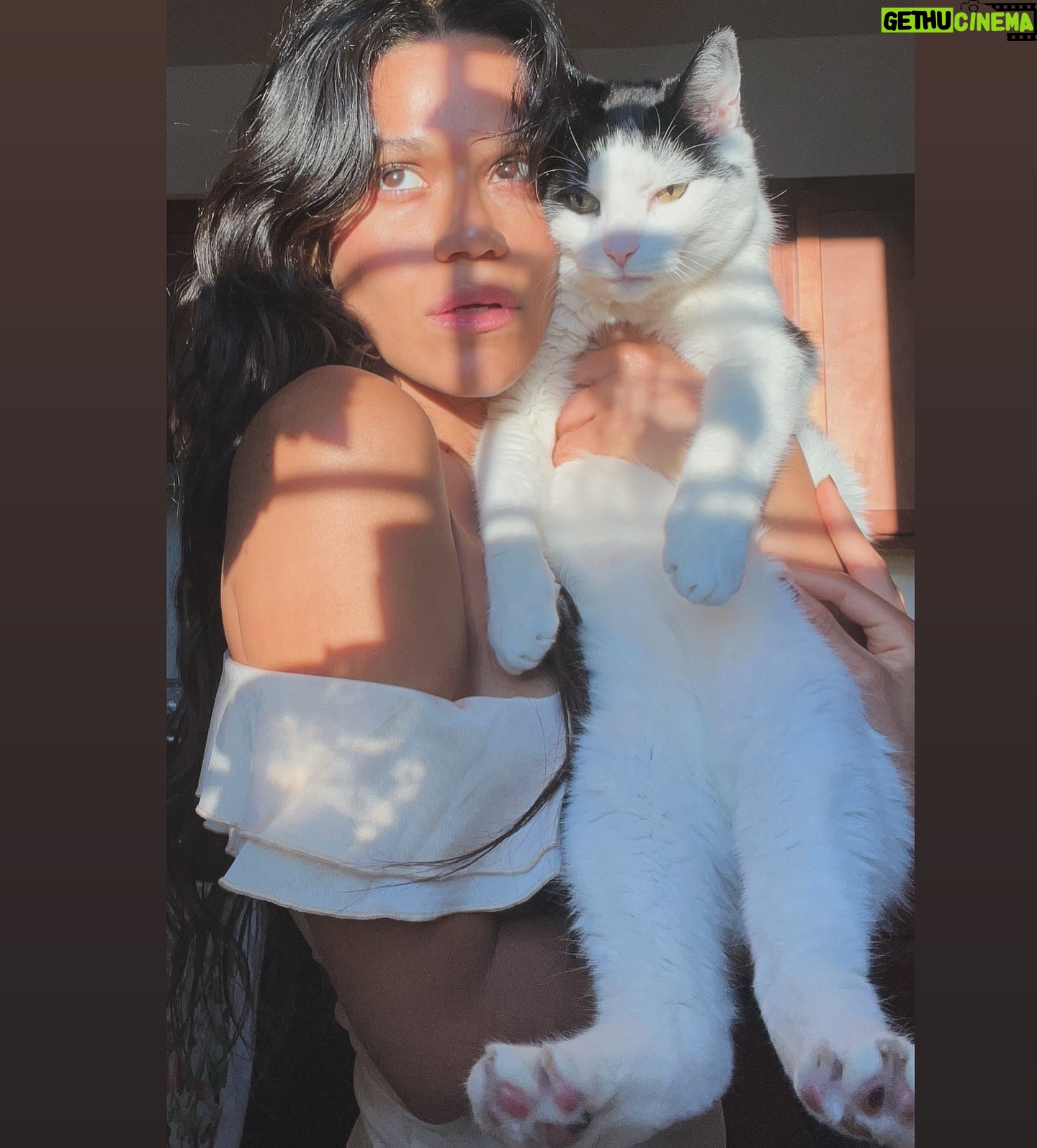 Justina Adorno - 3 Likes - Just a kitty girl with her kitty boy
#catmom #kittyboy #bodegacat #catsby #ilovemyson #myson