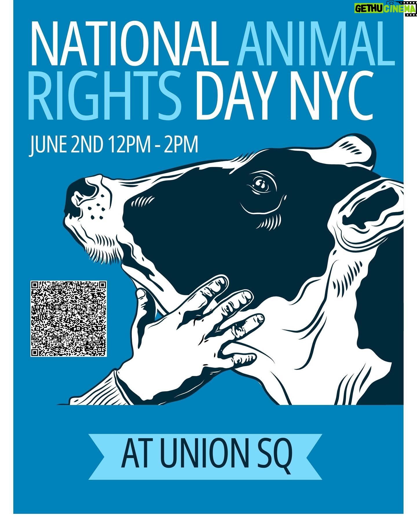 Justina Adorno - 3 Likes - Join us on June 2nd at Union Square in NYC for this year’s National Animal Rights Day event. I am honored to announce that I will be the MC for the day. It is a day of honor and remembrance for the animals we have lost due to our flawed system.
We come together to pay respects, unite in our cause, and acknowledge the sacrifices made by advocates before us. Let’s carry the torch of change forward and inspire others to join us in the liberation of animals.
Kindness is infectious, and together, we can create a more peaceful world for all beings. It is a day of peace, unity, and reflection on the progress achieved, yet also a reminder of the work that still lies ahead. Empower yourself with knowledge, be part of this movement, and make a difference.
Your voice matters, and your actions can create a better world for all beings.
RSVP through the link in my bio, share the message, and help spread the word. Let’s stand together on this important day to celebrate achievements, raise awareness, and pave the way for a brighter future for animals. We eagerly anticipate your presence and support in making a real difference!”
#nard #animalrights #useyourvoice #liberation #peace #nowar #love #vegan #mustloveallanimals