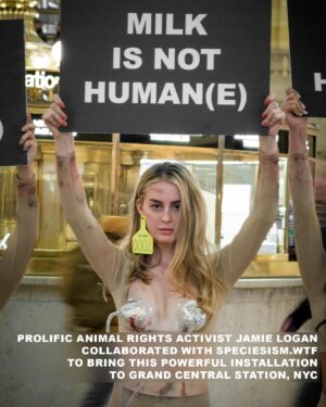 Justina Adorno Instagram - ‘Milk Is Not Humane’ art installation

Prolific Animal Rights Activist Jamie Logan collaborated with artist Stephanie Lane of SPECIESISM.WTF, to bring this powerful installation to Grand Central Station, NYC.

Actress Justina Adorno joined as a ‘milked woman’, using art to create a world where nonhumans are given equal moral consideration.
This work sheds light on the suffering humans inflict on nonhuman animals in the dairy industry.

There are approximately 270 million cows enslaved in the dairy industry worldwide.

WE WILL NOT BE SILENCED.

The installation will be performed in various cities globally throughout 2024. 

Huge thanks and respect to everyone involved to speak up and fight for animal liberation through this work 🙏🏼♥️

@Raul_armas_ 📸
@ChristinaF214
@Itsjamielogan
@Drewmgardner
@Claire_deshaies
@Lbcrueltyfree
@mleenycx 
@vegansusanclarke 

#animalrights #culturejamming #dairyindustry #womeninrevolt #endspeciesism #milk #cows #animalliberation #artinstallation #newyorkactivism