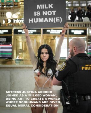 Justina Adorno Instagram - ‘Milk Is Not Humane’ art installation

Prolific Animal Rights Activist Jamie Logan collaborated with artist Stephanie Lane of SPECIESISM.WTF, to bring this powerful installation to Grand Central Station, NYC.

Actress Justina Adorno joined as a ‘milked woman’, using art to create a world where nonhumans are given equal moral consideration.
This work sheds light on the suffering humans inflict on nonhuman animals in the dairy industry.

There are approximately 270 million cows enslaved in the dairy industry worldwide.

WE WILL NOT BE SILENCED.

The installation will be performed in various cities globally throughout 2024. 

Huge thanks and respect to everyone involved to speak up and fight for animal liberation through this work 🙏🏼♥️

@Raul_armas_ 📸
@ChristinaF214
@Itsjamielogan
@Drewmgardner
@Claire_deshaies
@Lbcrueltyfree
@mleenycx 
@vegansusanclarke 

#animalrights #culturejamming #dairyindustry #womeninrevolt #endspeciesism #milk #cows #animalliberation #artinstallation #newyorkactivism