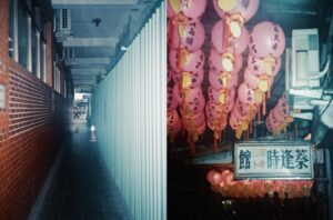 Juuko Zhu Instagram - #路邊觀察委員会
採集任務執行中ϵ( 'Θ' )϶

#agfaoptimaflash 
#fujixtra400