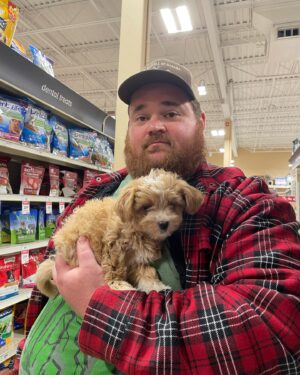 K. Trevor Wilson Instagram - Happy Birthday to little miss Goldie who turns 1 today. She’s a small dog with a big personality