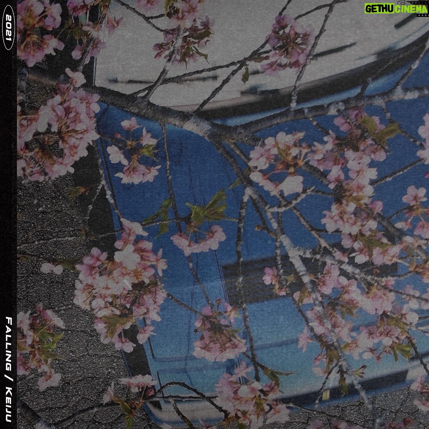 KEIJU - 7.8K Likes - TONIGHT AT MIDNIGHT🌸