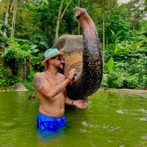 KKevin Instagram - 🐅🐘🌴