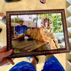KKevin Instagram - 🐅🐘🌴
