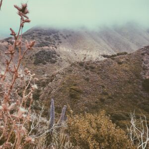 Kaelen Ohm Instagram - Solstice Love and Blessings. 💫 
May we gently sheath the sword to join the cosmic dance of ever-changing cycles. Practicing temperance and grace as we navigate both the light and the dark. I am becoming more and more grateful for impermanence, for it keeps all in flow ~ never stagnant ~ only still for long enough to appreciate the beauty of the moment and receive it’s teachings.