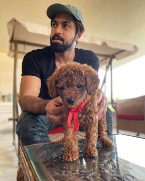Kalyaan Dhev Instagram - Introducing our new family member #Toffee 🐶 
What an amazing day to welcome him! 

#NationalPetDay